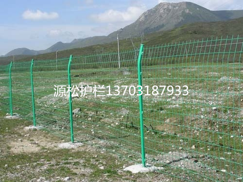 圈地圍欄網(wǎng)4