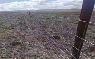 草原圍欄網 草原圍欄網