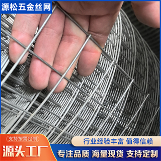 鍍鋅電焊網(wǎng) 鍍鋅電焊網(wǎng)